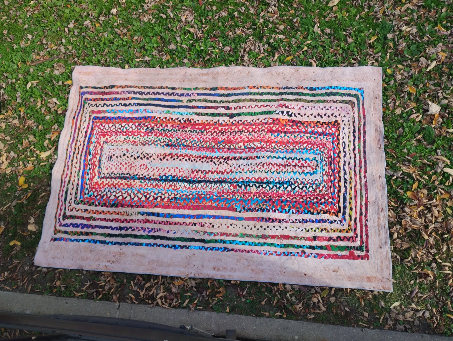 Braided Multi-Color Accent Rug (8 x 10) - photo 3