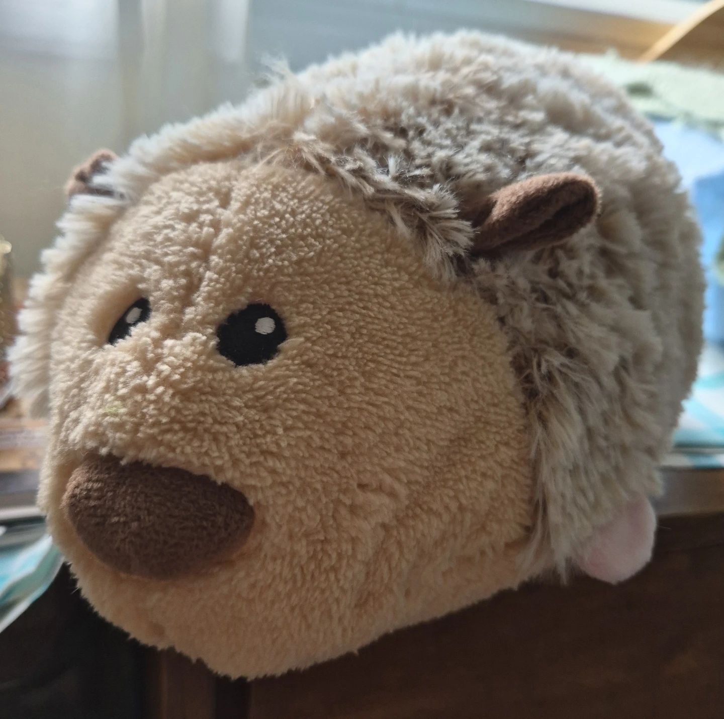 Hedgehog plush toy