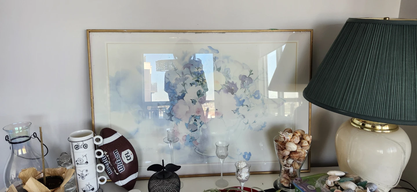 Framed Floral Watercolour Print