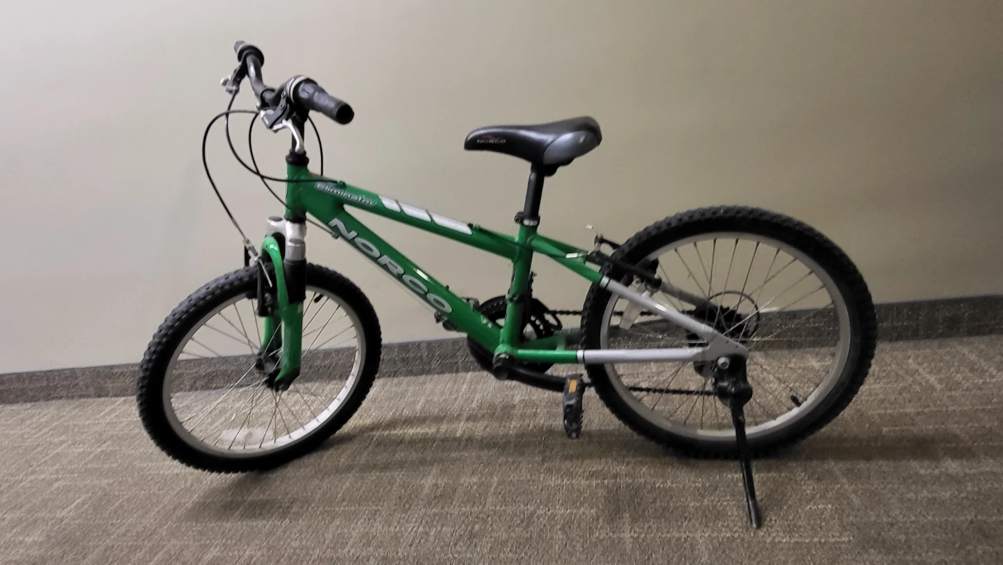 Norco Eliminator Kids Mountain Bike