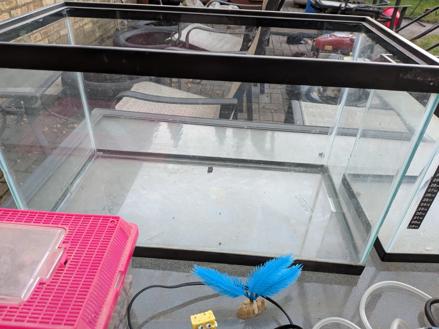 Aquarium / Fish Tank Setups - photo 2