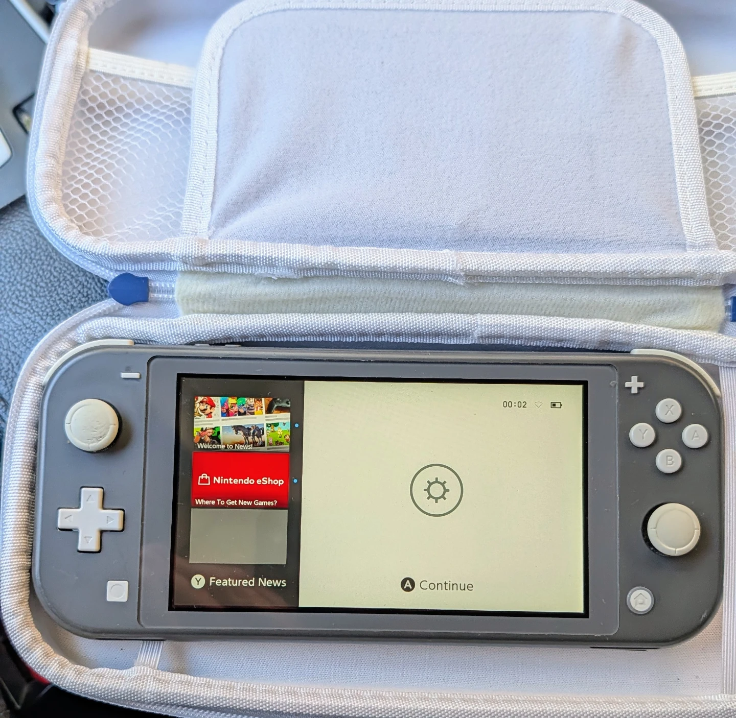 Nintendo Switch Lite Grey