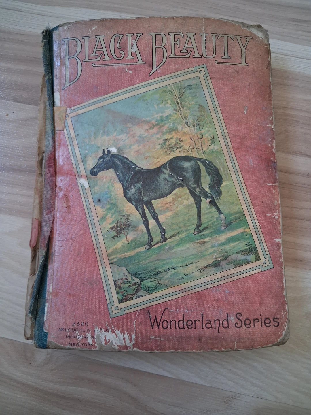 Black Beauty by Anna Sewell - Wonderland Series