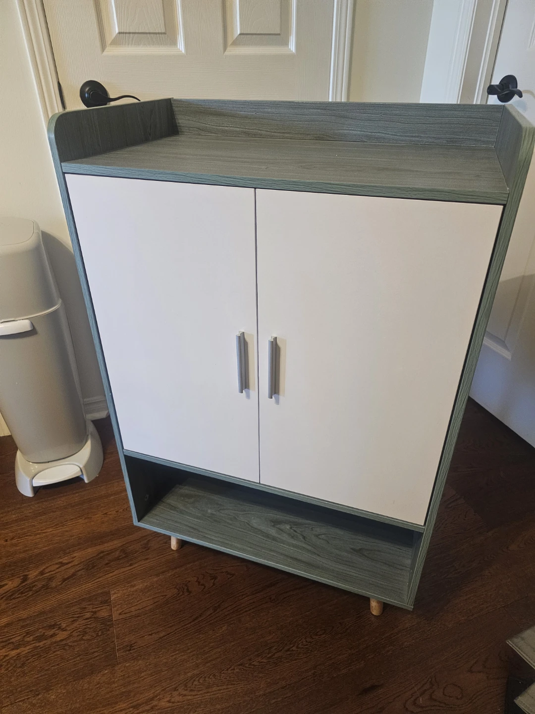 Two-Tone Storage Cabinet with Shelves - photo 3