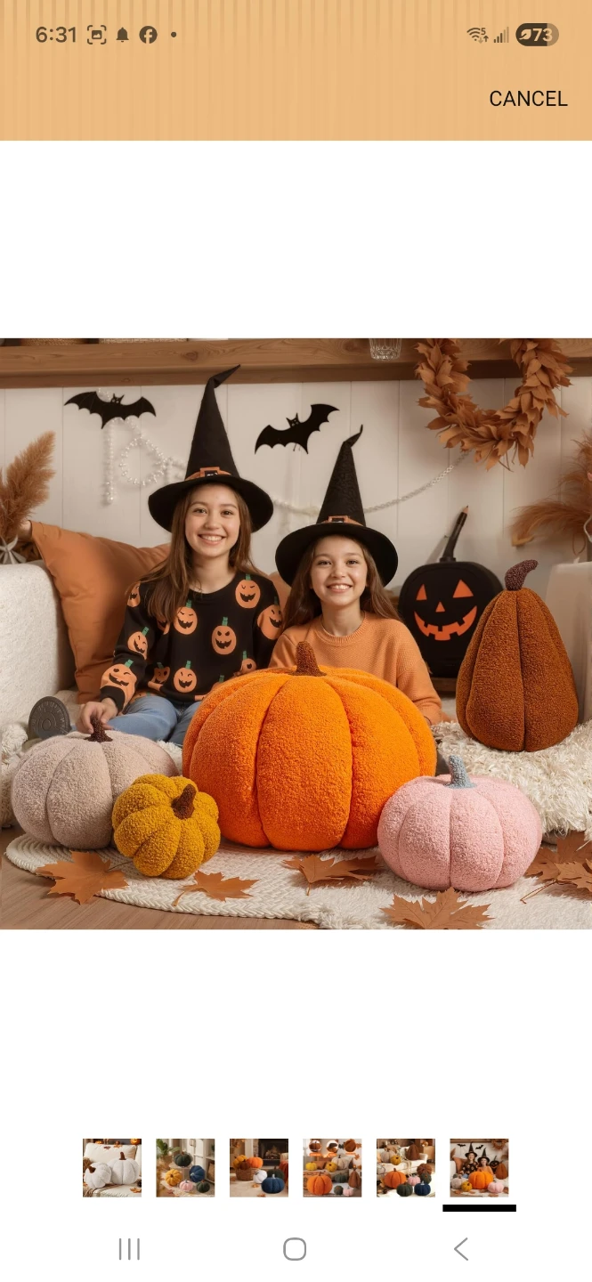 Sherpa Pumpkin Throw Pillow - White - photo 4