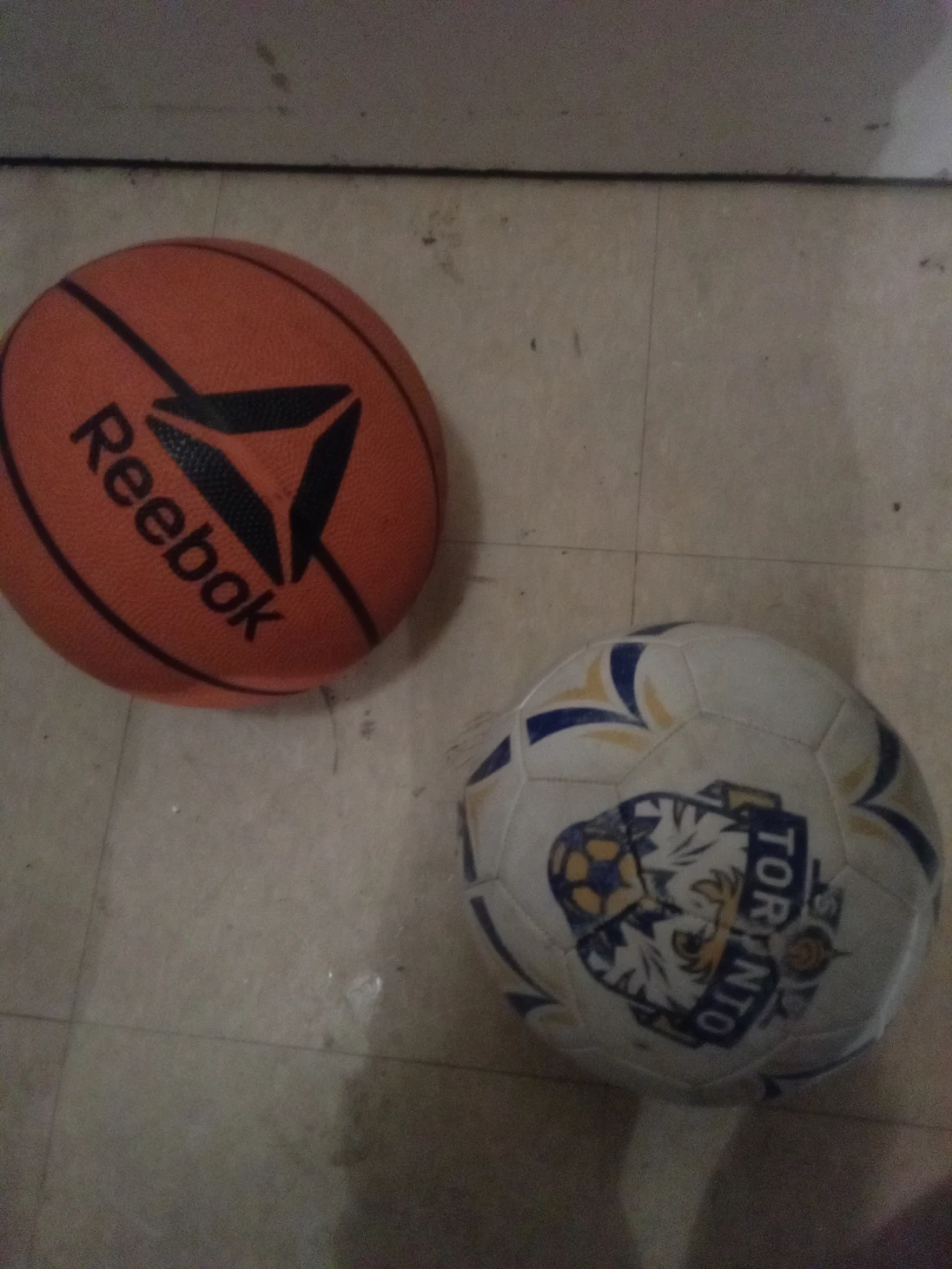 Reebok Basketball and Toronto Soccer Ball