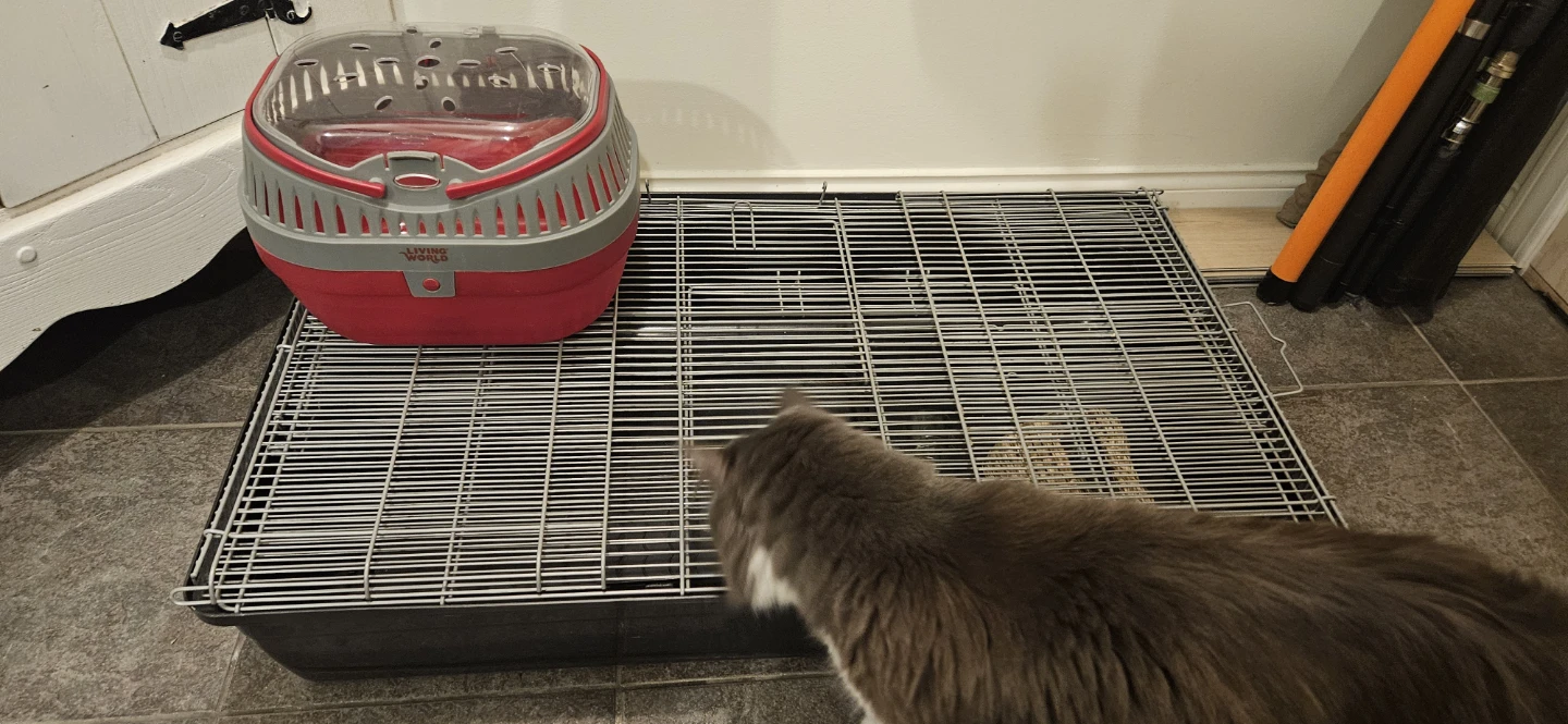 Hamster cage, carrier, wooden exercise wheel and more - photo 5