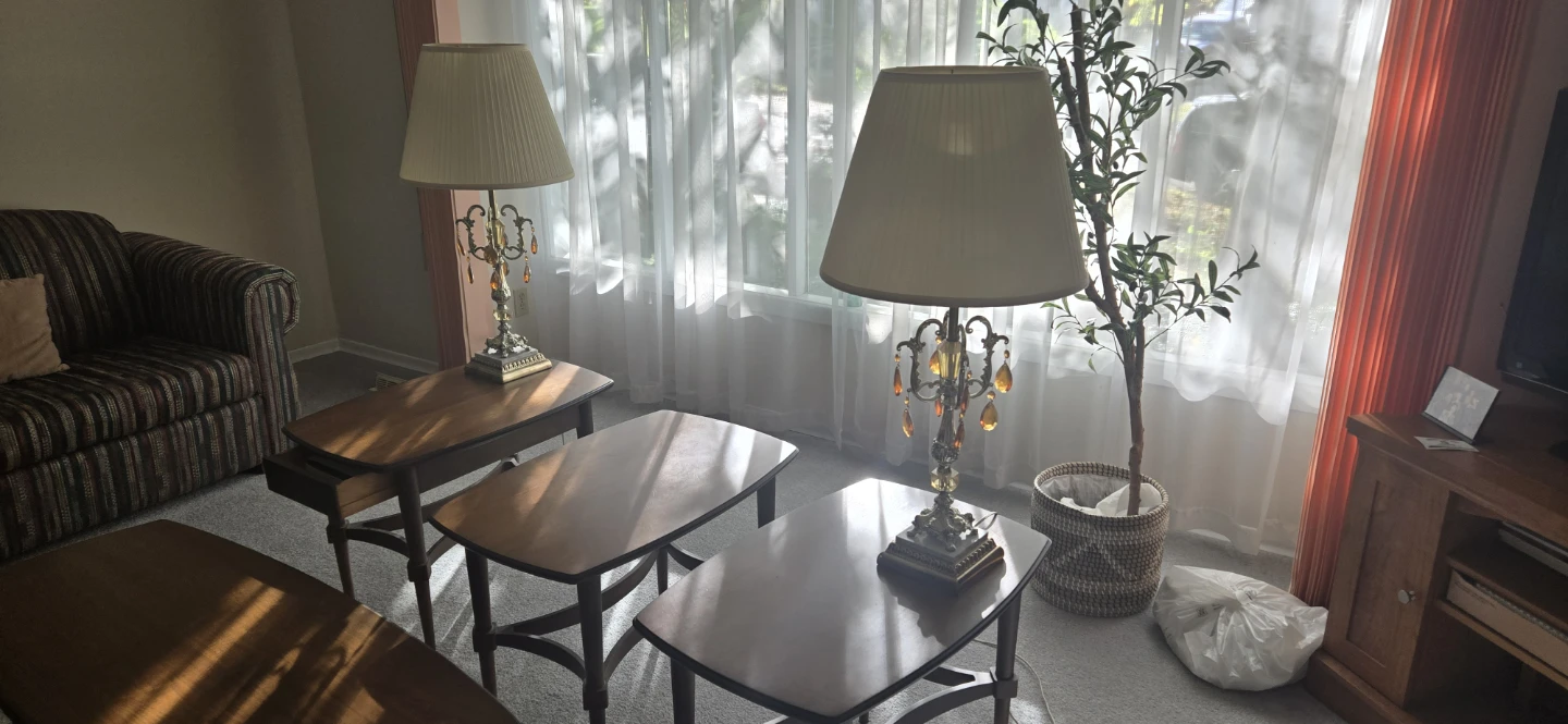 Vintage Mid-Century - photo 5