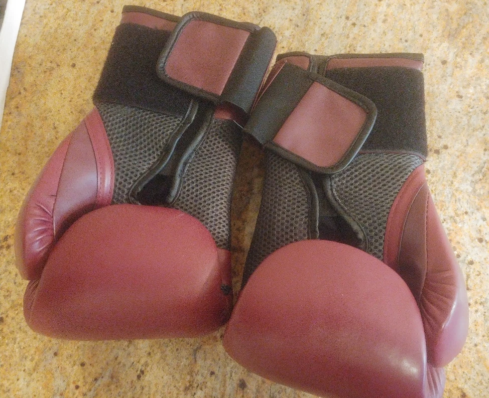 Everlast Elite Boxing Gloves (12oz) - photo 2