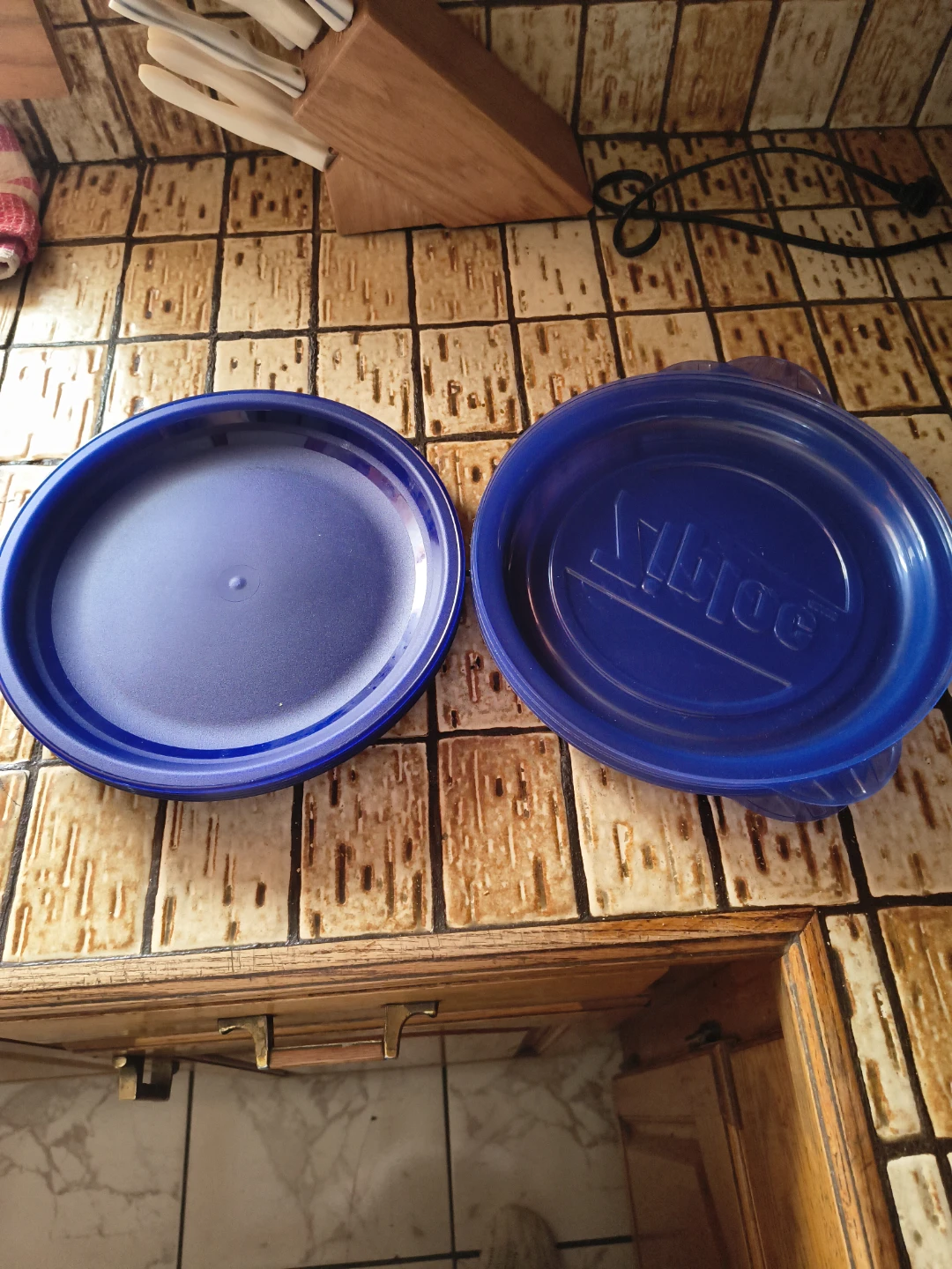 4 Ziploc Blue Food Storage Lid and Plates - photo 3