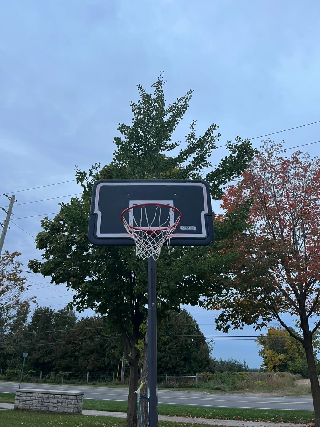 Basketball net