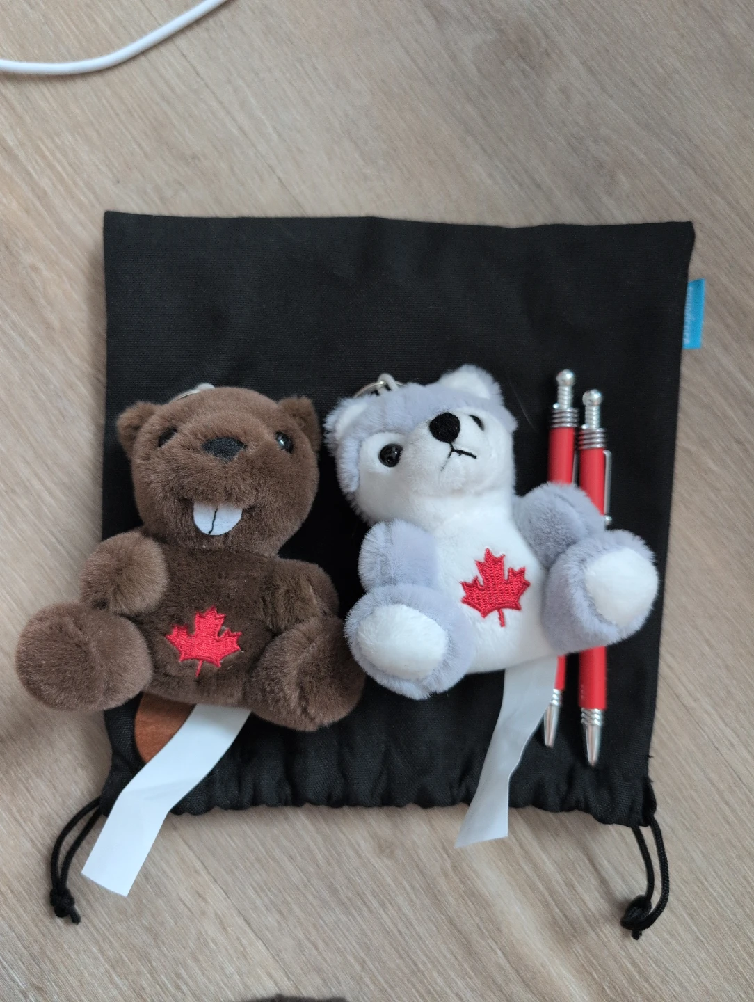 Canadian Beaver and Husky Plush Keychains Set
