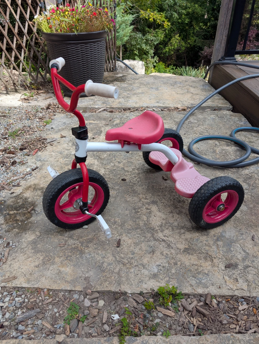 Ref and White Toddler Tricycle