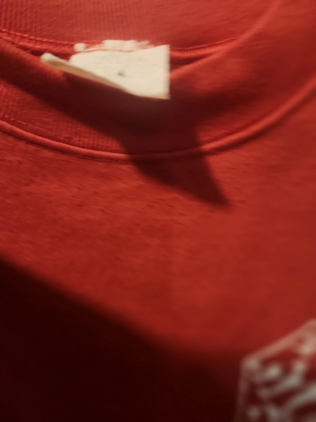 Vintage Red Snowbirds Sweatshirt - photo 3