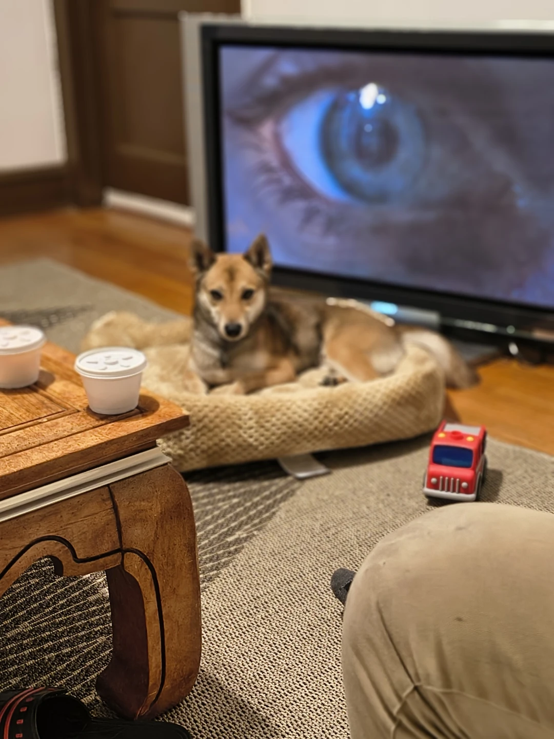 Tan Pet Bed