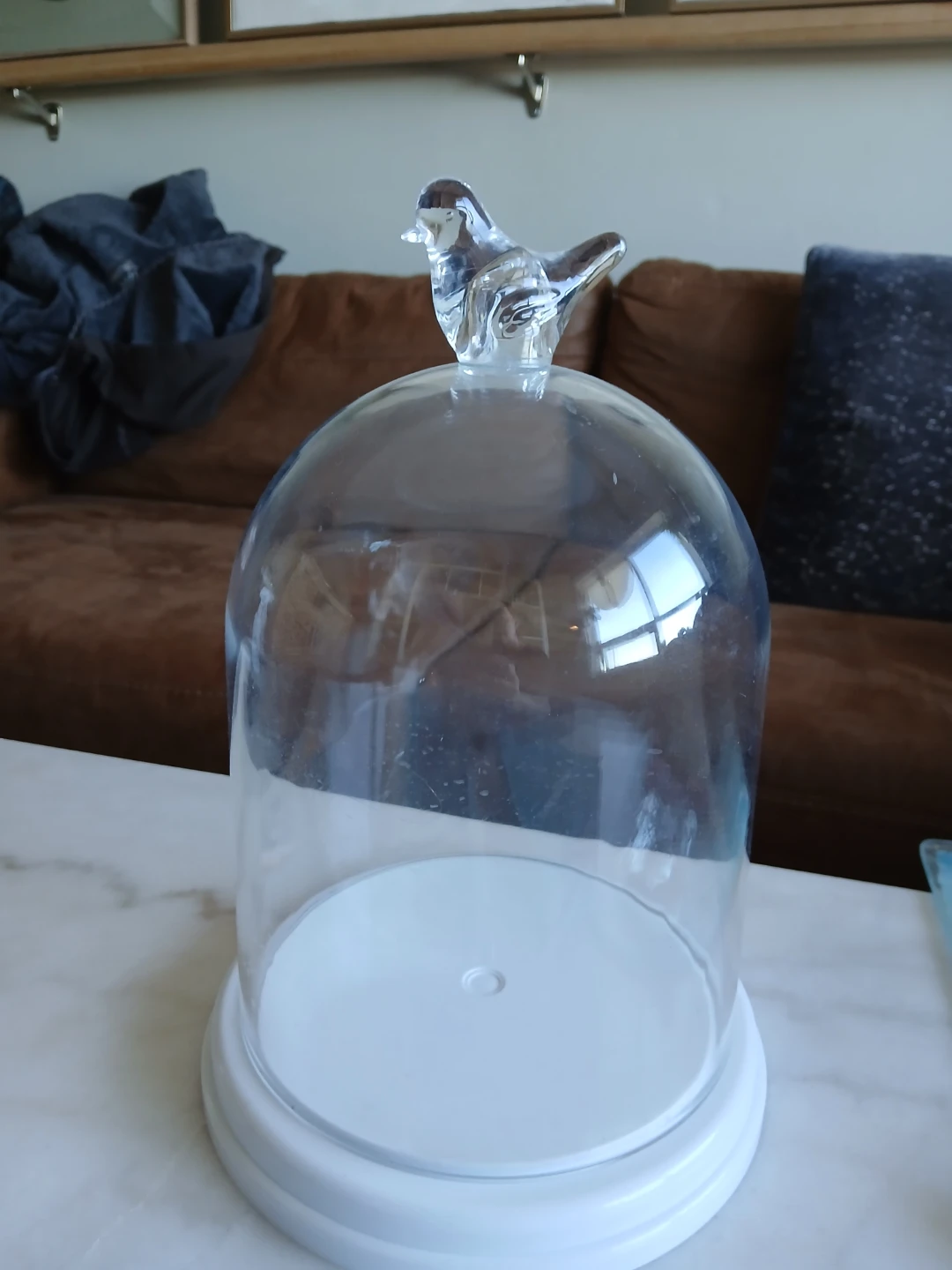 Glass Cloche with Bird Handle - photo 2