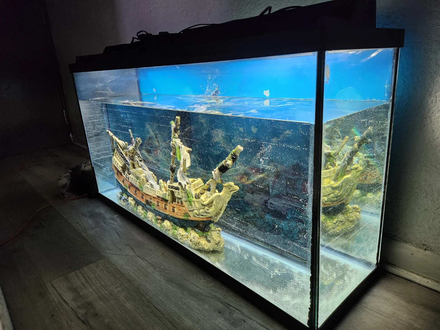 65 Gallon Aquarium w/ Ship Decor - photo 3