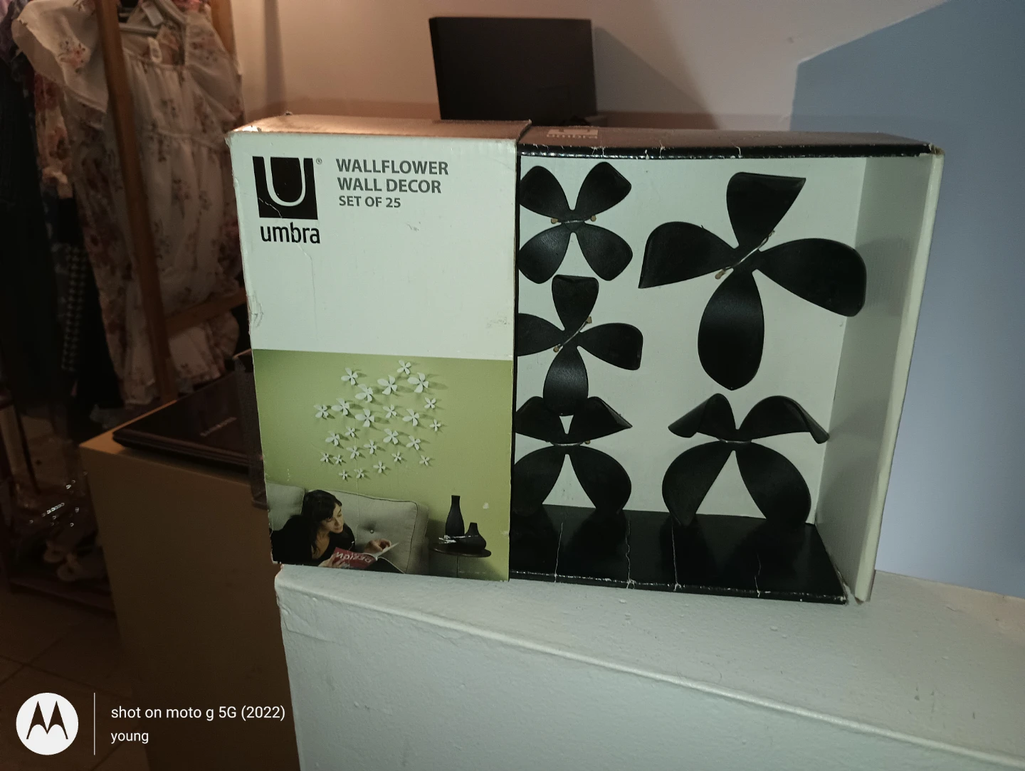 Umbra Wallflower Wall Decor Set of 25