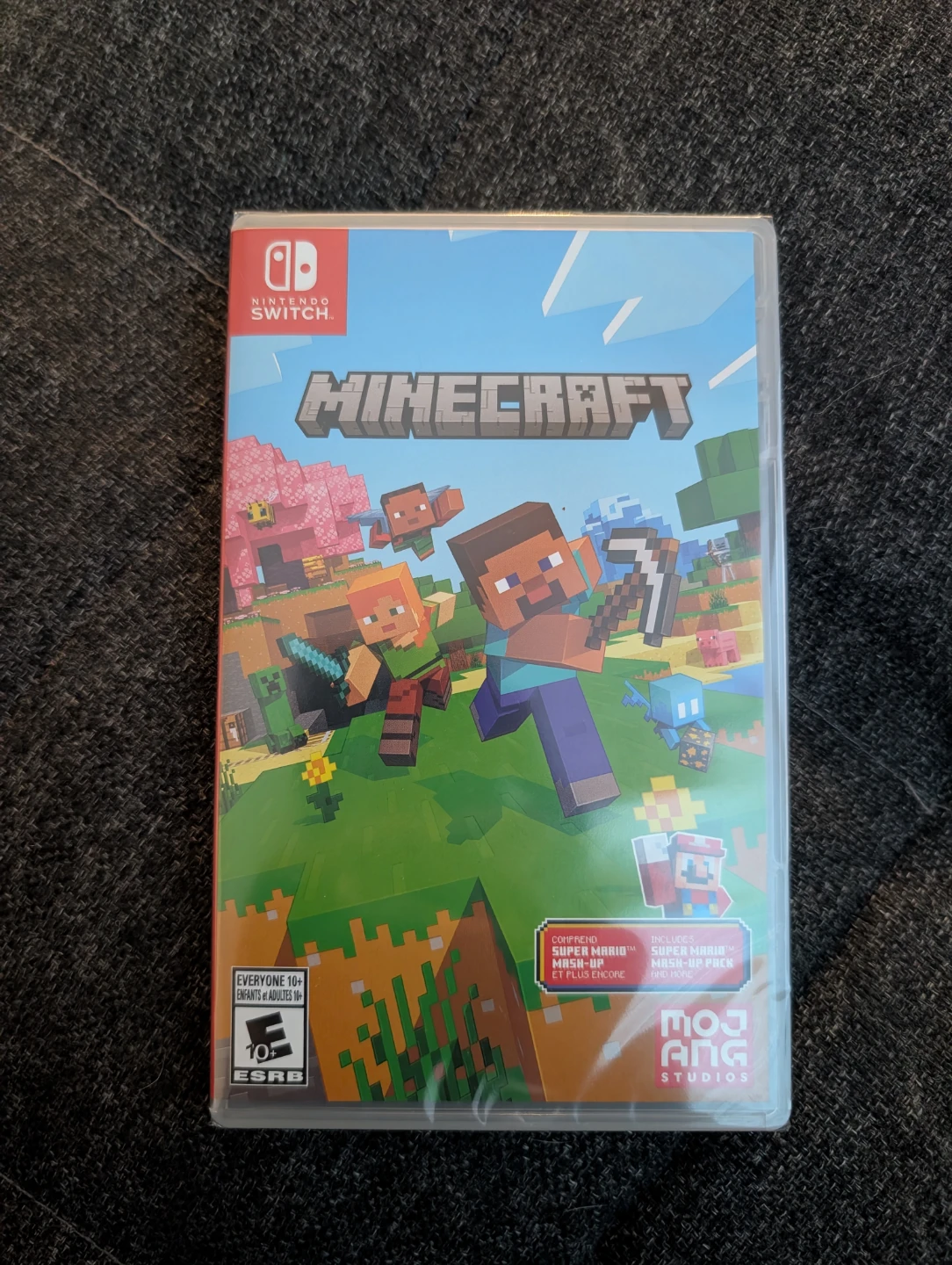 Minecraft for Nintendo Switch