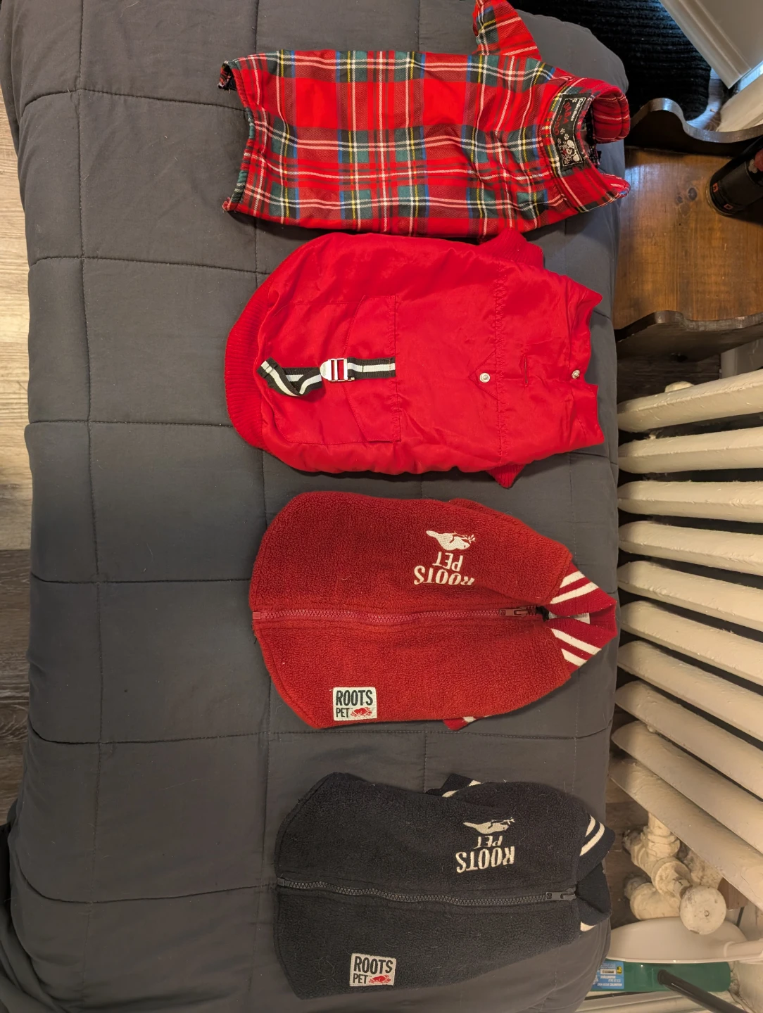 Assorted Dog Clothes - Roots, NHL, Band Tees - photo 3