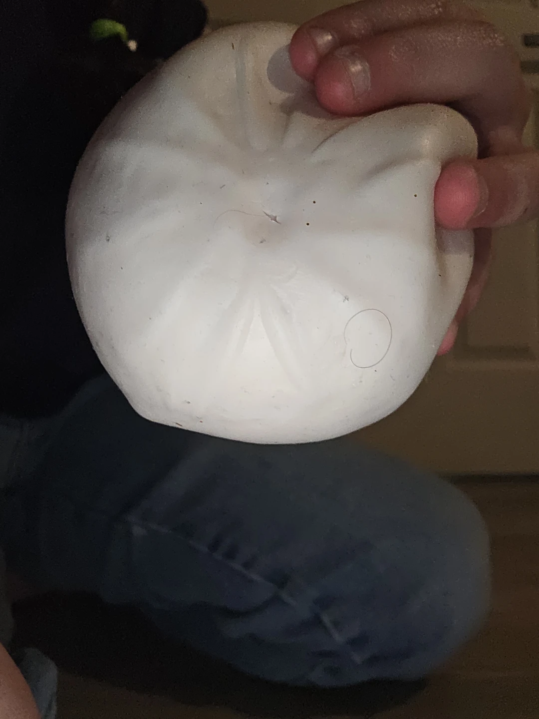 mystery squishy on the inside
