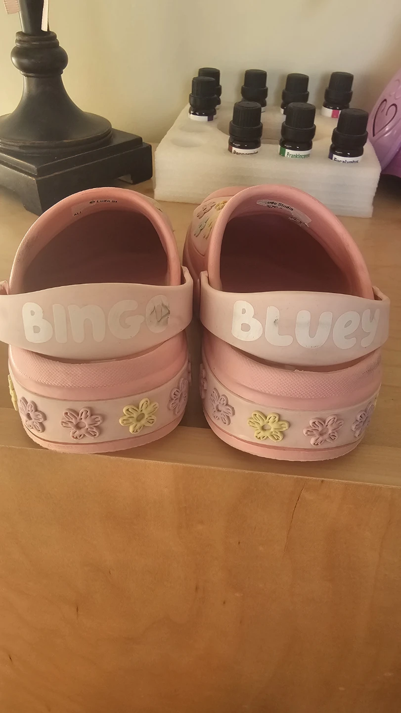 Ground Up Bluey and Bingo Pink Clogs - photo 4