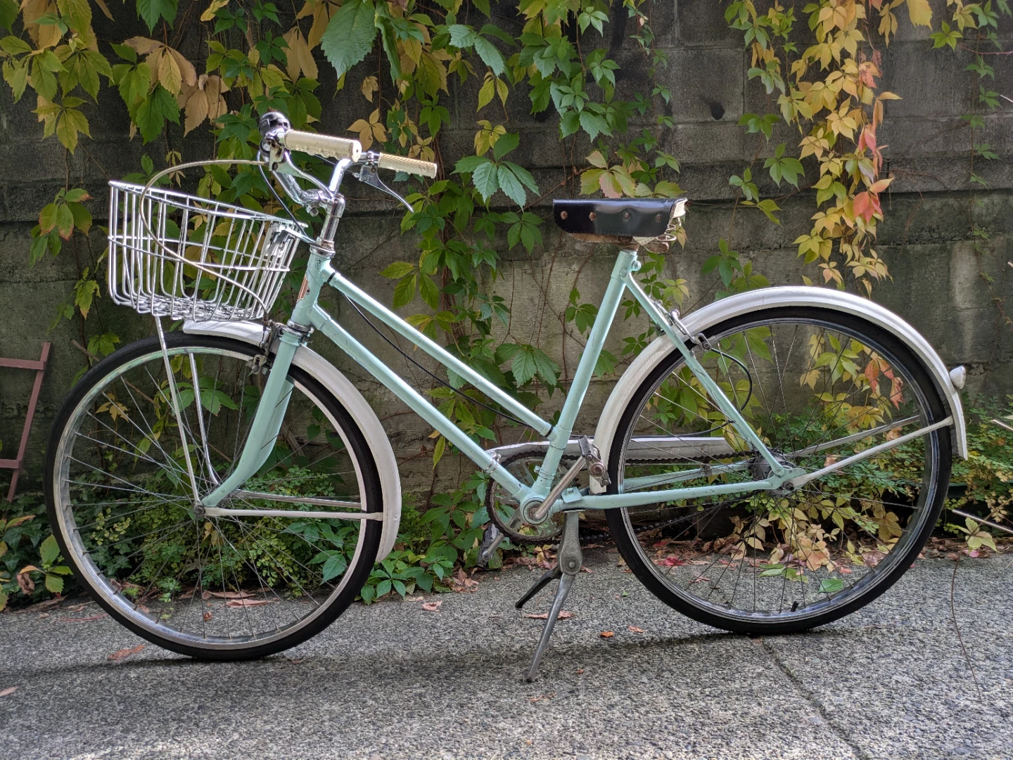 Vintage CCM Cruiser Bicycle with Front Basket
