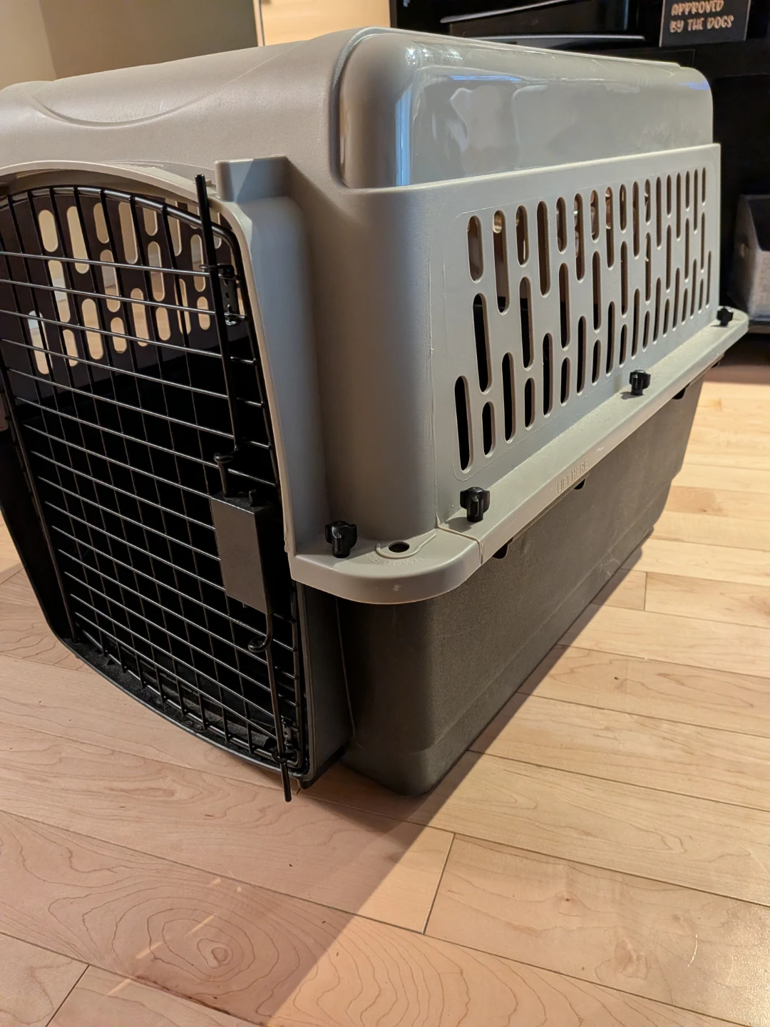 Large Plastic Pet Travel Crate - Top Paw from Pet Smart - photo 2