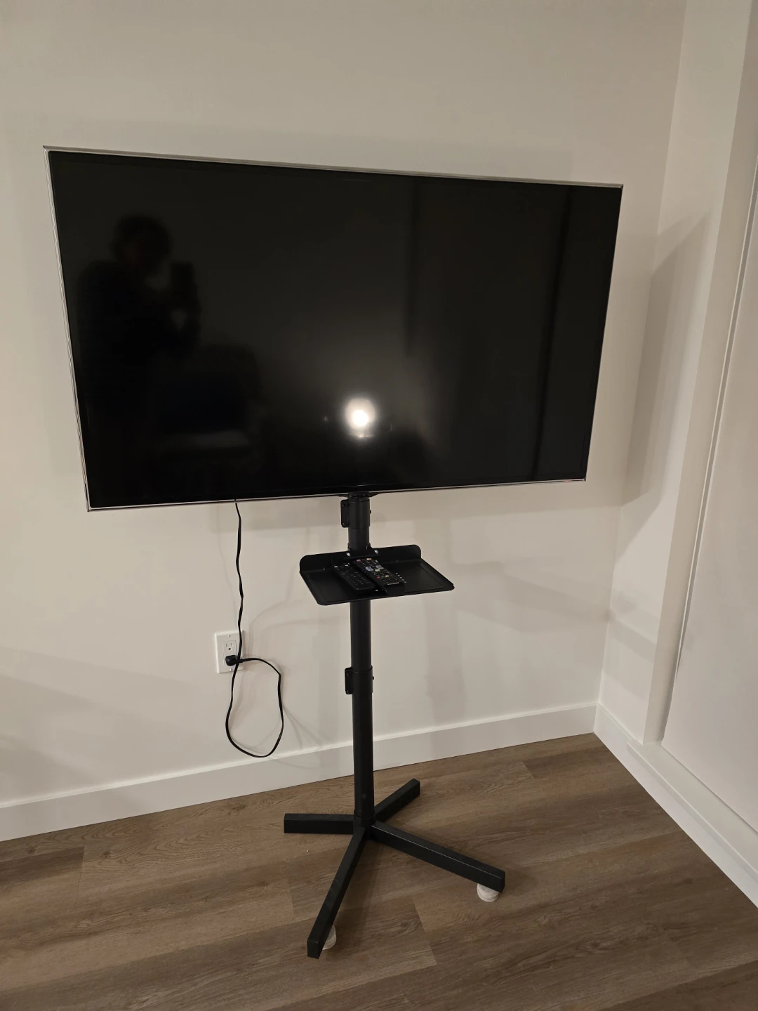 Mobile TV Floor Stand and TV