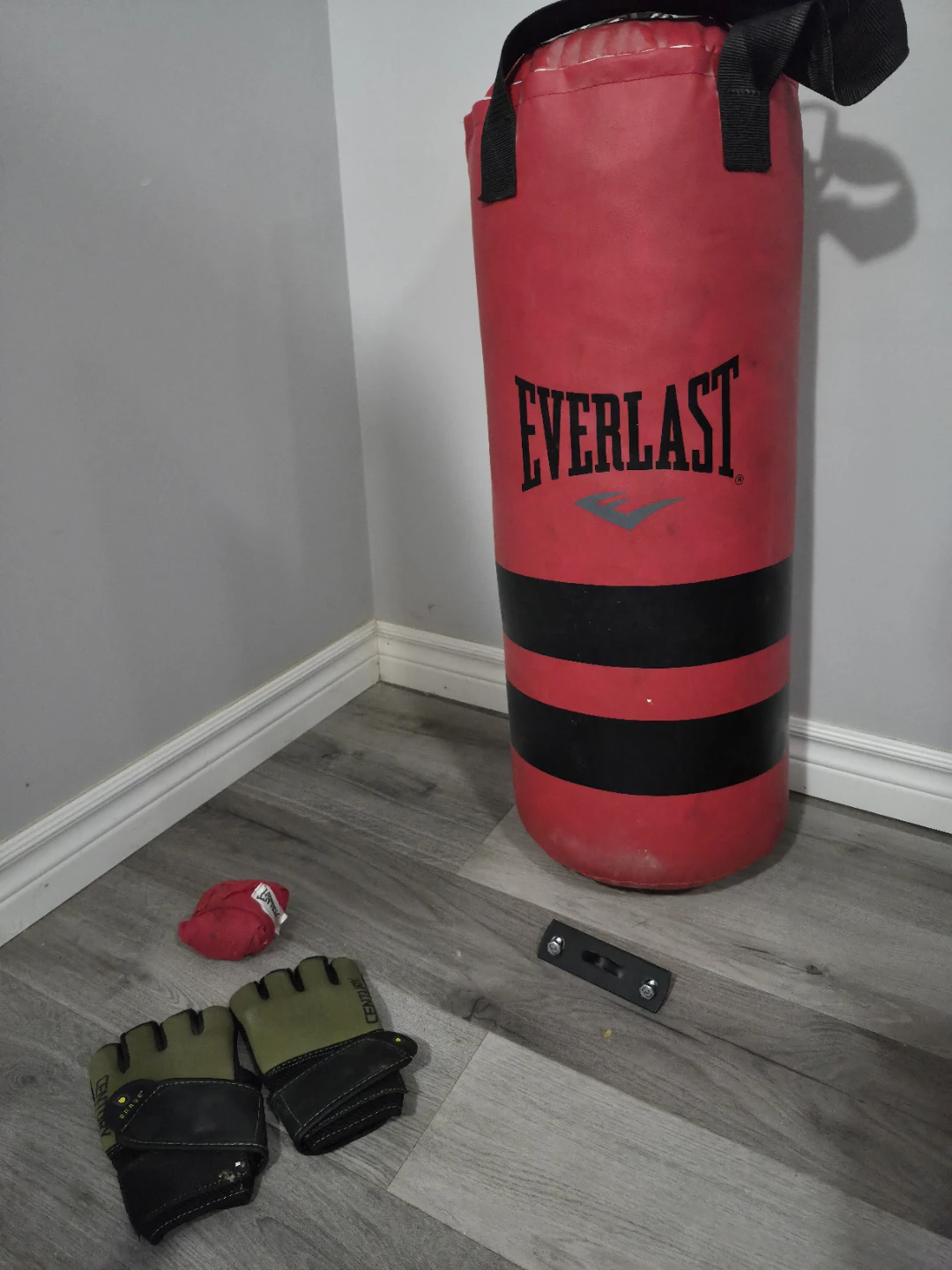 Everlast Heavy Bag