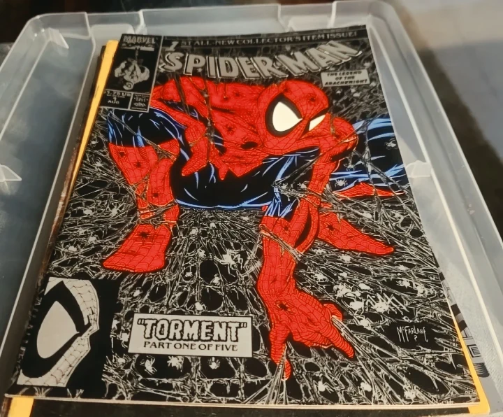 Spider-Man Comic Book Torment Part One of Five - photo 2