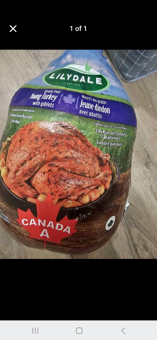 Frozen turkey