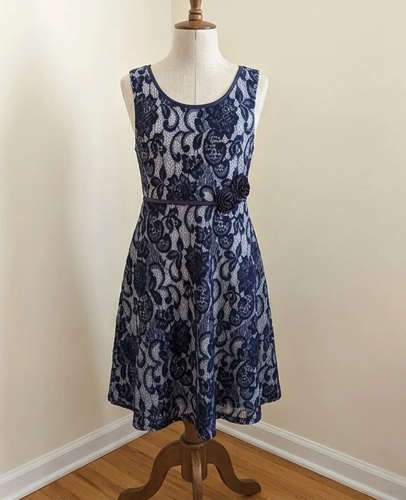 Navy and White Lace Sleeveless Dress