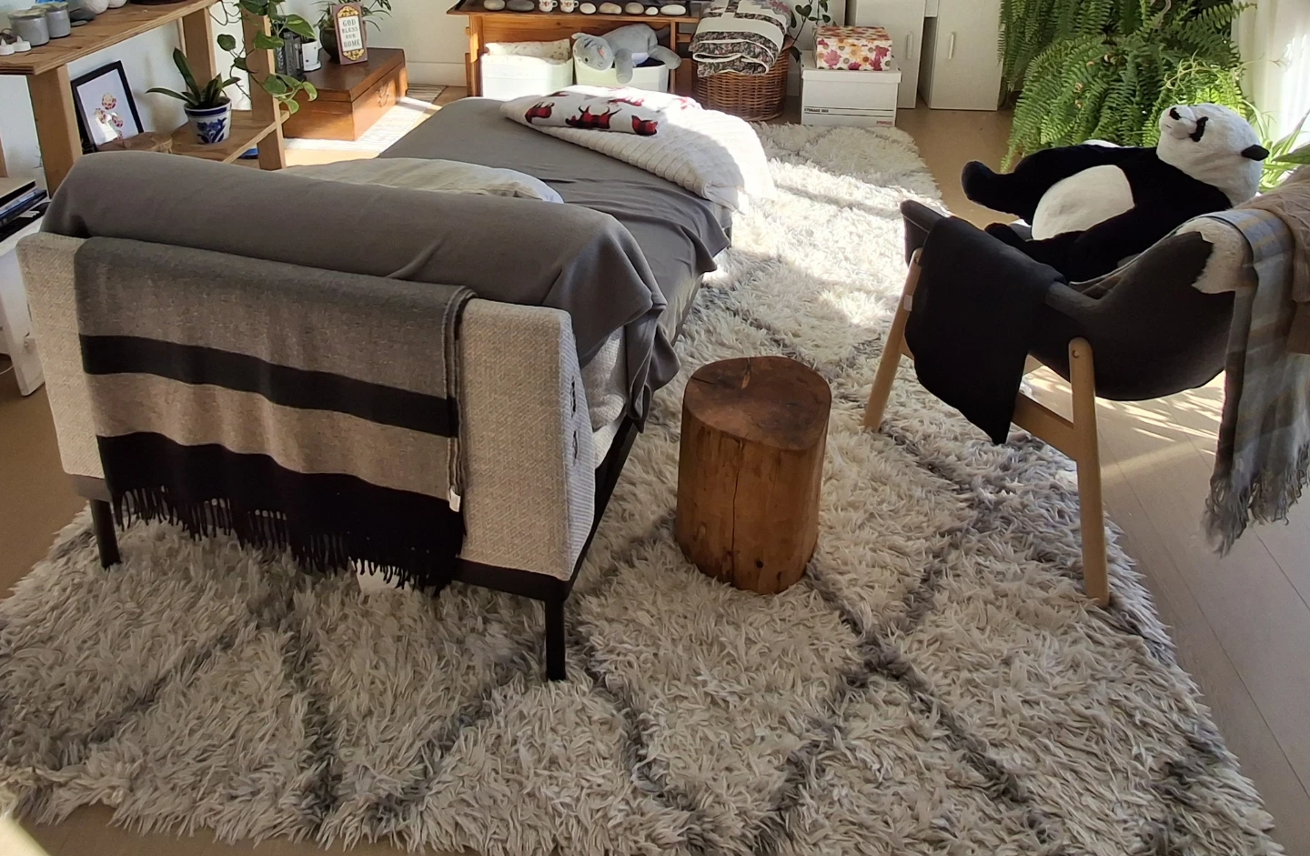 Shag Area Rug