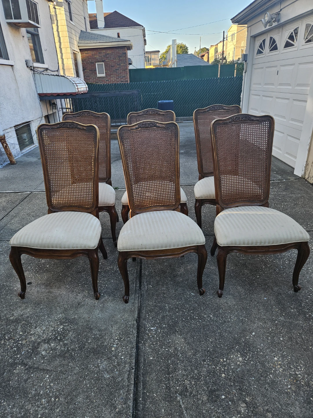 6 vintage caneback chairs