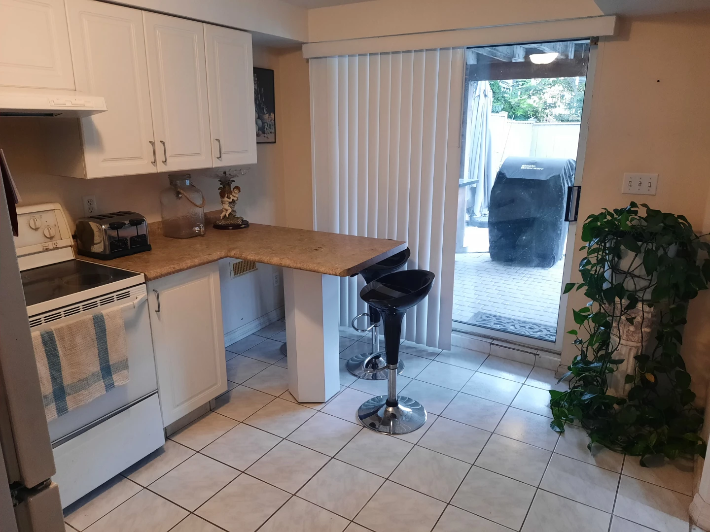 Walkout basement for rent