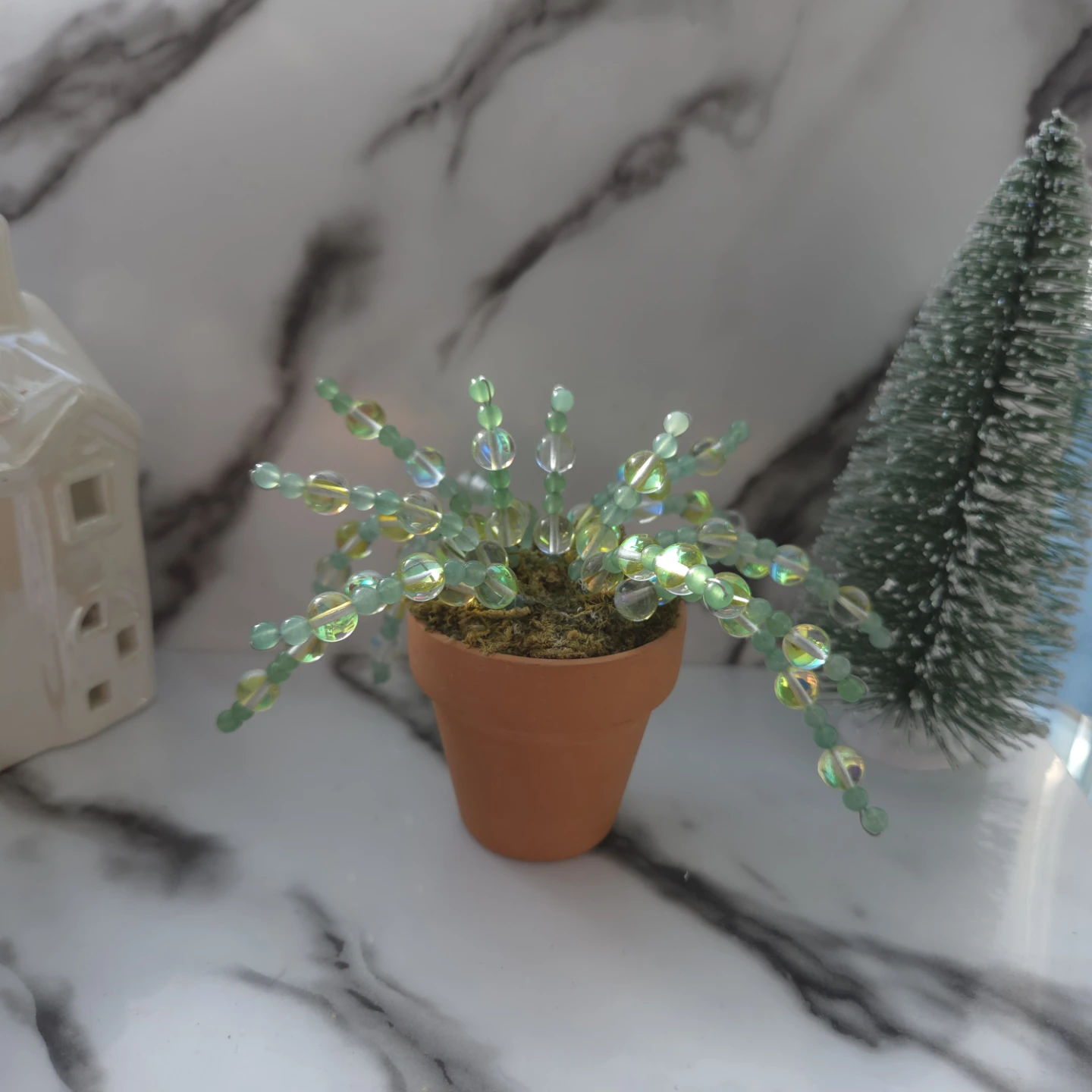 Crystal forever plant in terra cotta pot - photo 3