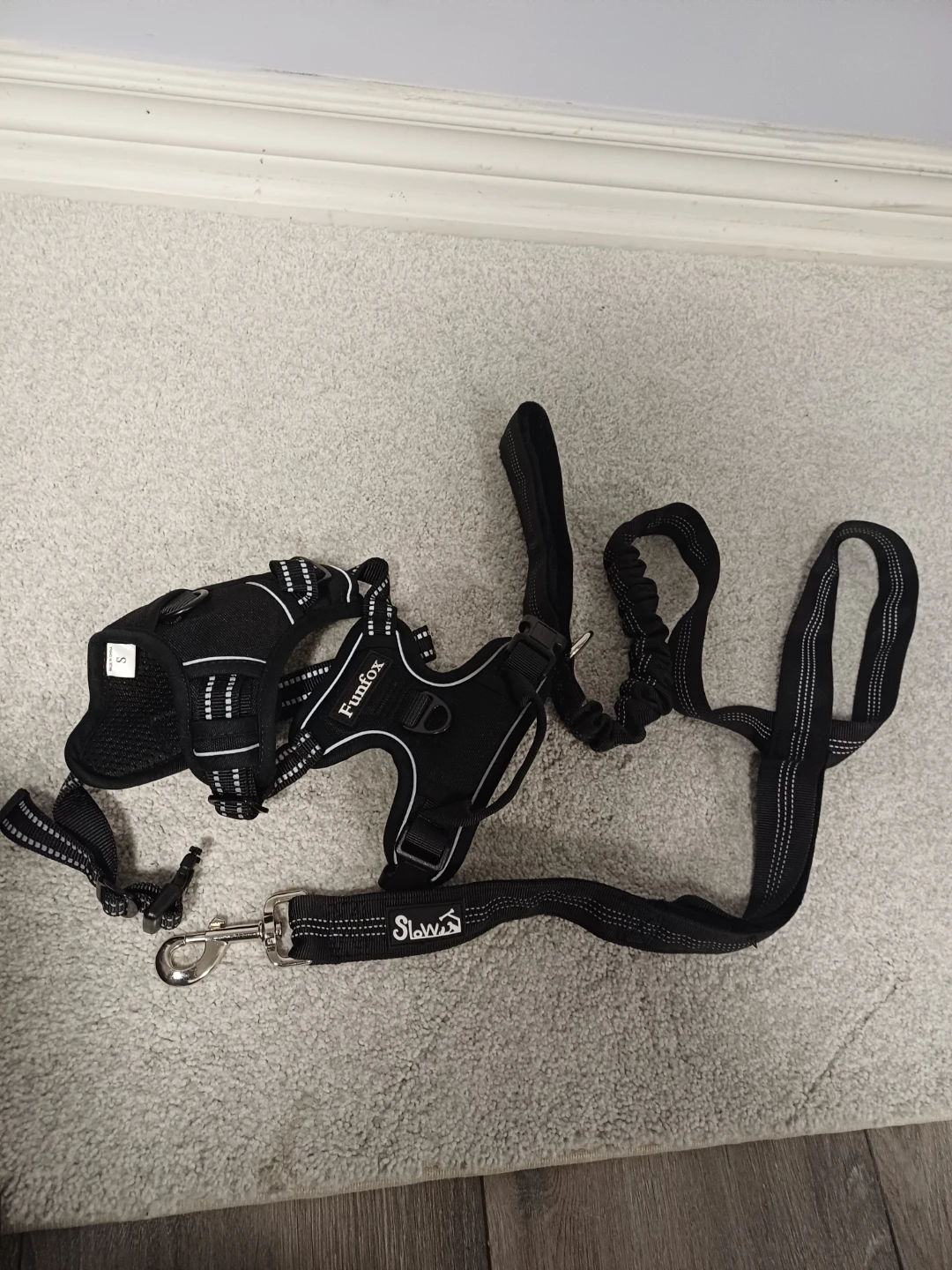 Funfox Dog Harness and Leash Set - Small - photo 3