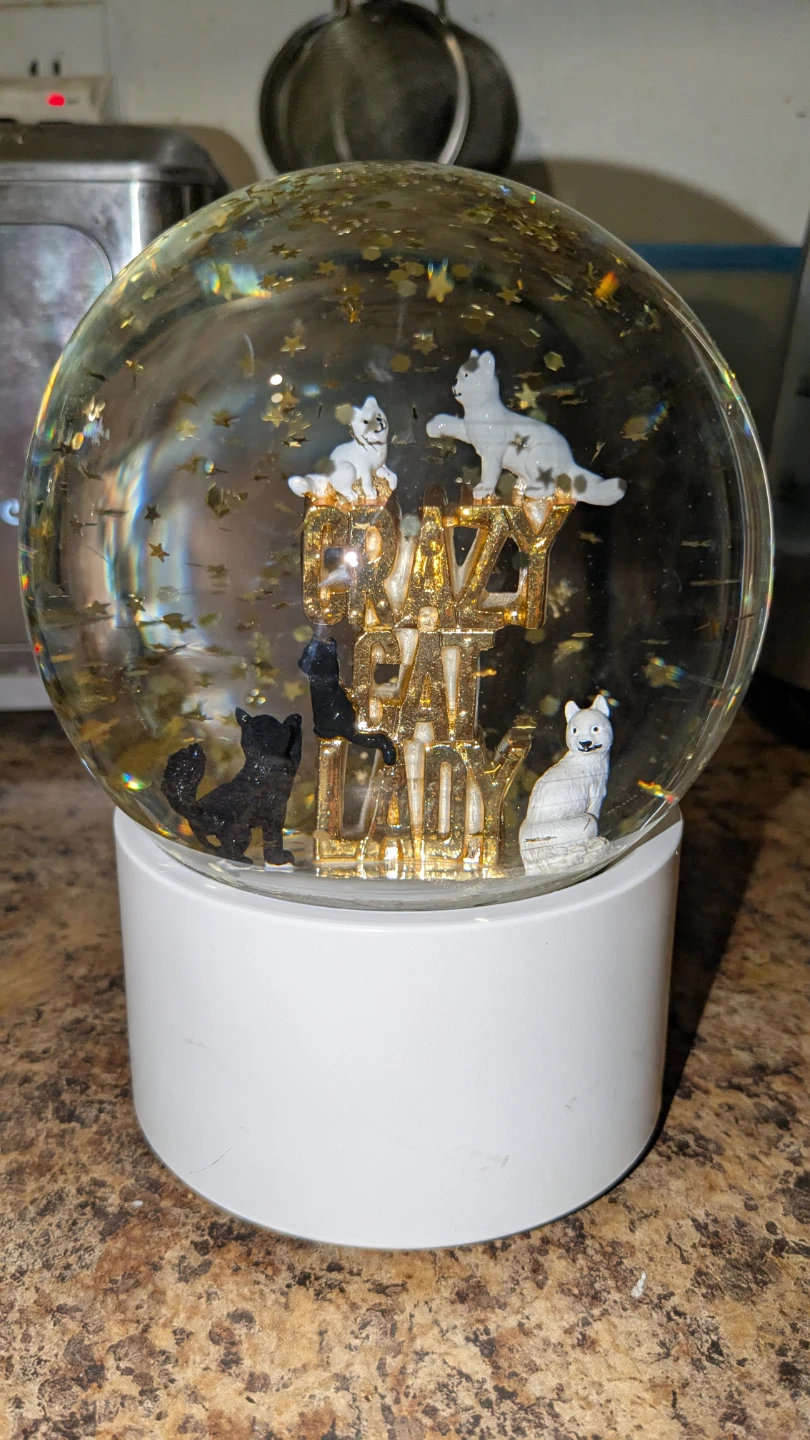 RARE VINTAGE "CRAZY CAT LADY" SNOW GLOBE MUSIC BOX