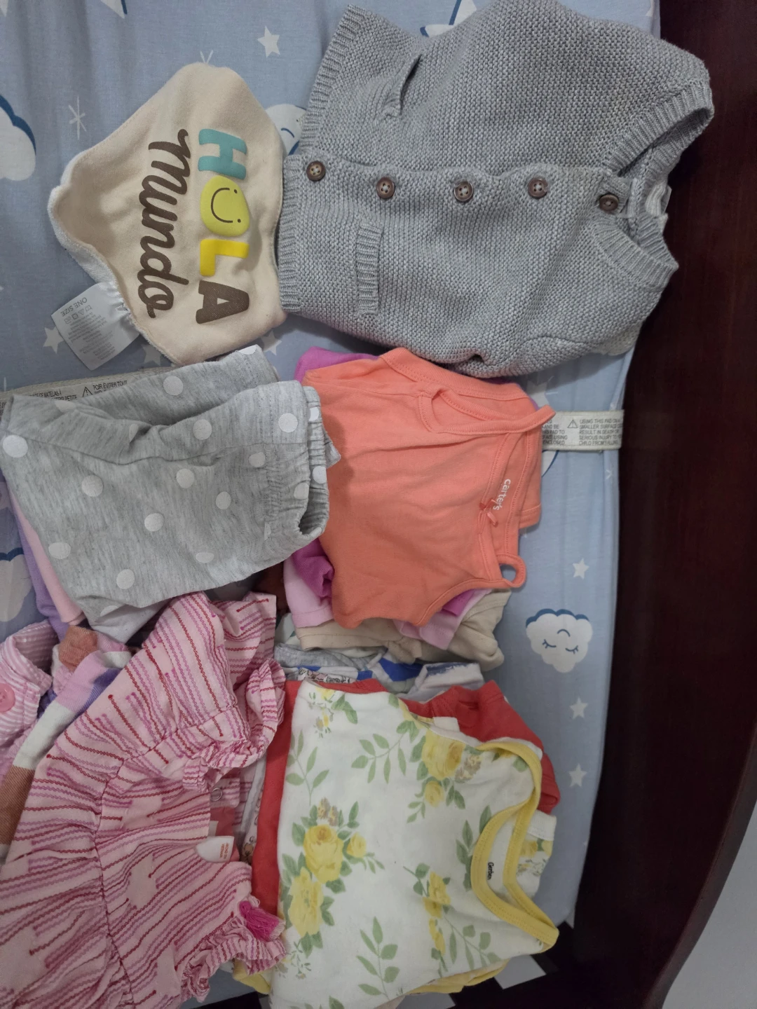 Baby Girl Clothing Bundle