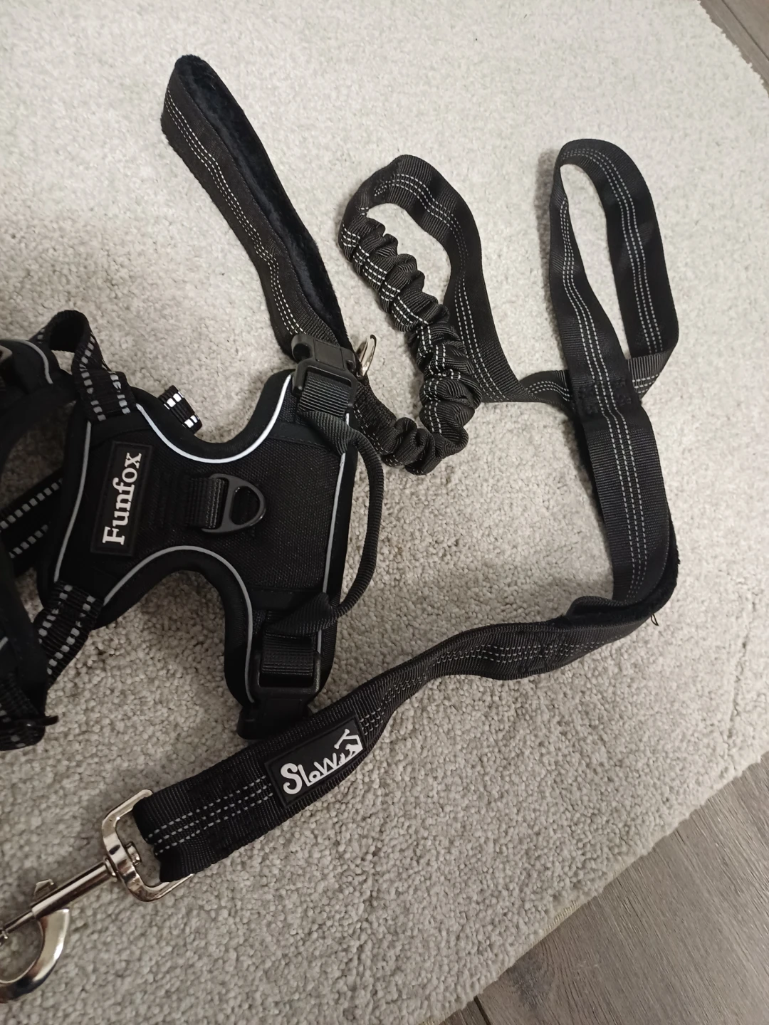 Funfox Dog Harness and Leash Set - Small - photo 5