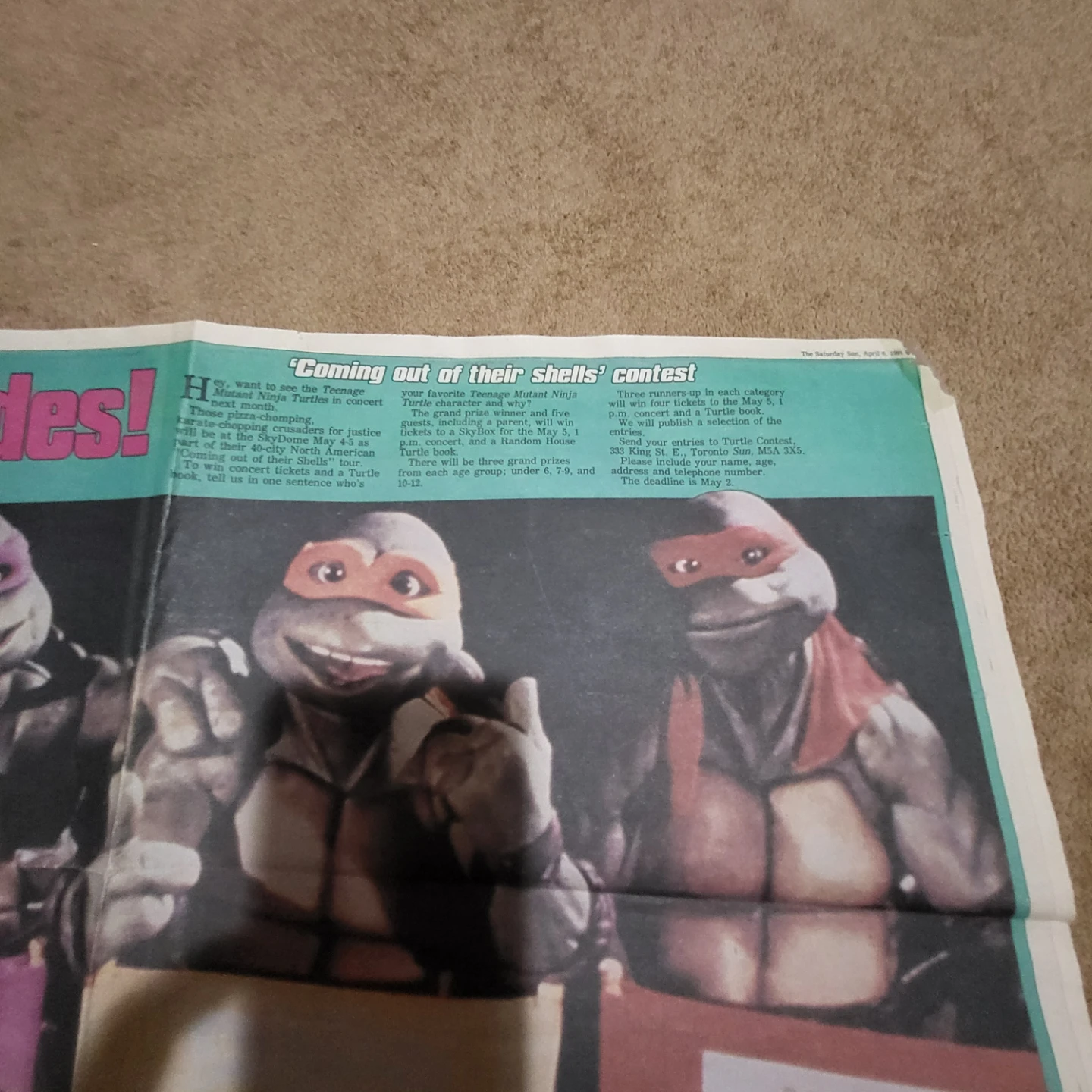 Teenage Mutant Ninja Turtles II Framed Poster - photo 5