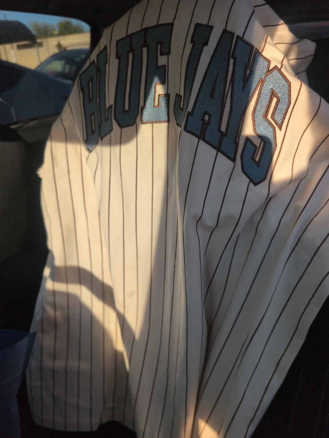 Toronto Blue Jays Pinstripe Baseball Jersey - photo 2