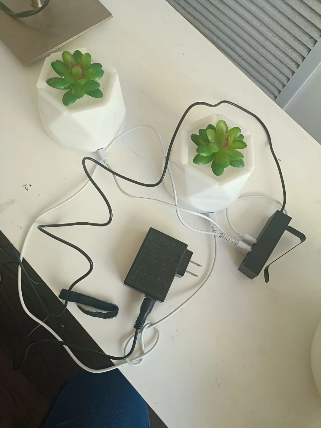 Set of Two LED Succulent Decorative color changing Lights - photo 2