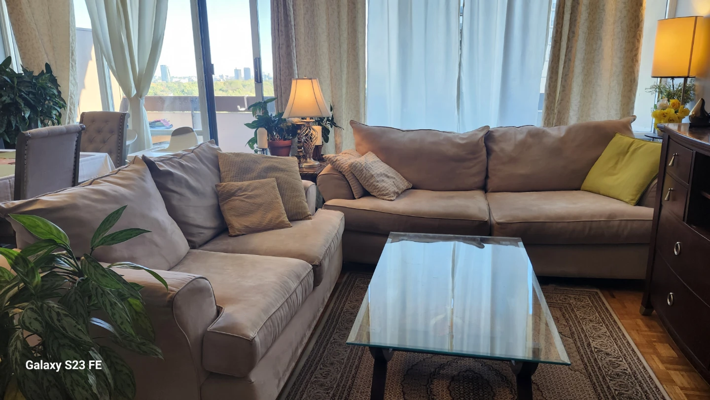 Beige living room sofa - photo 4