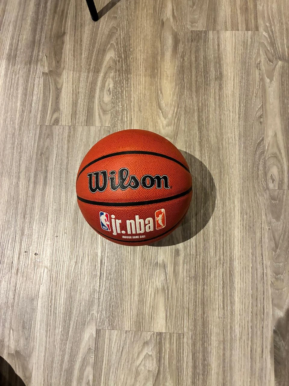 Wilson Jr. NBA Indoor Basketball