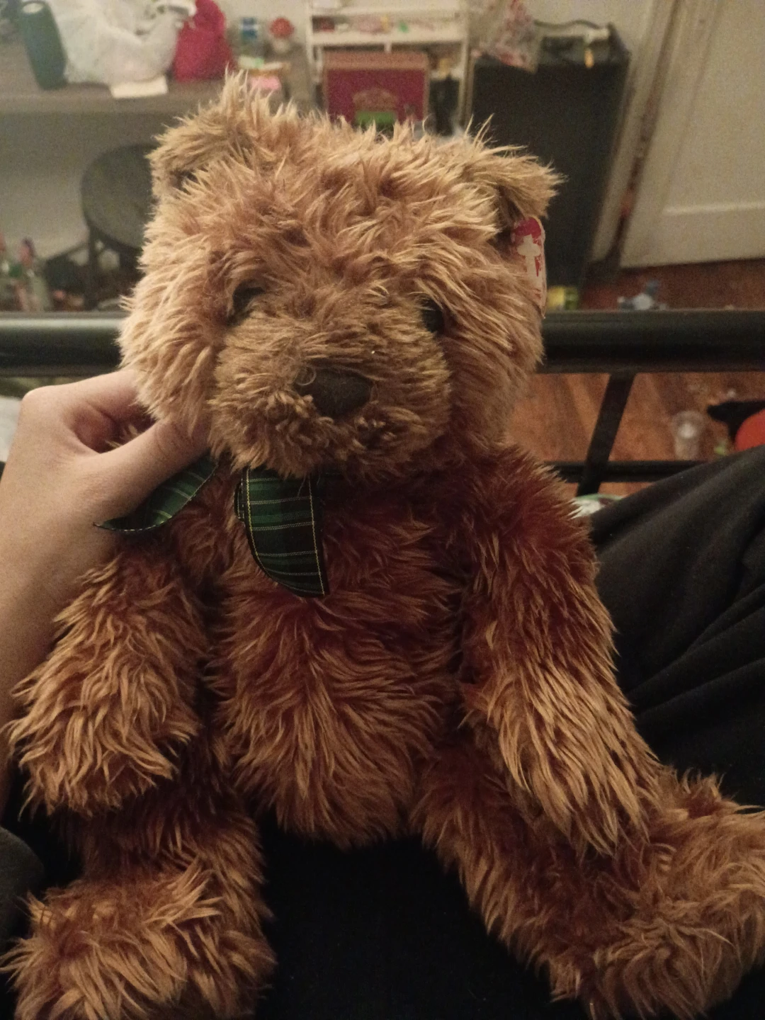 Teddy bear