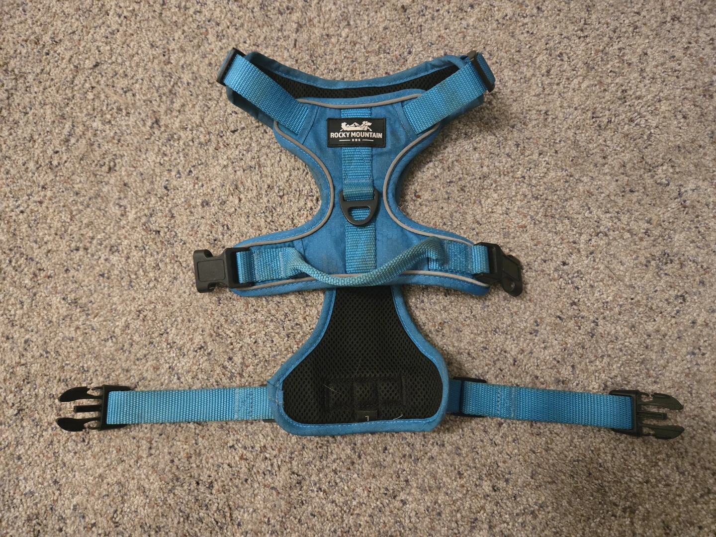 Rocky Mountain Dog harness