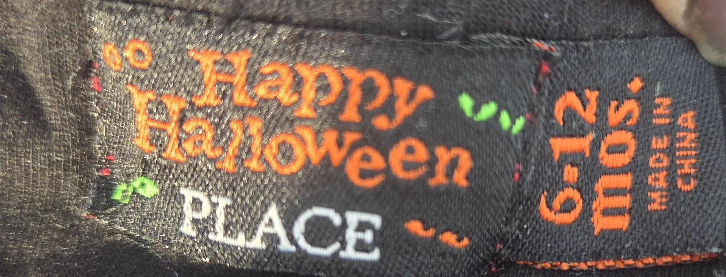 Childrens place Baby Ladybug Halloween Costume 6-12 Months - photo 4