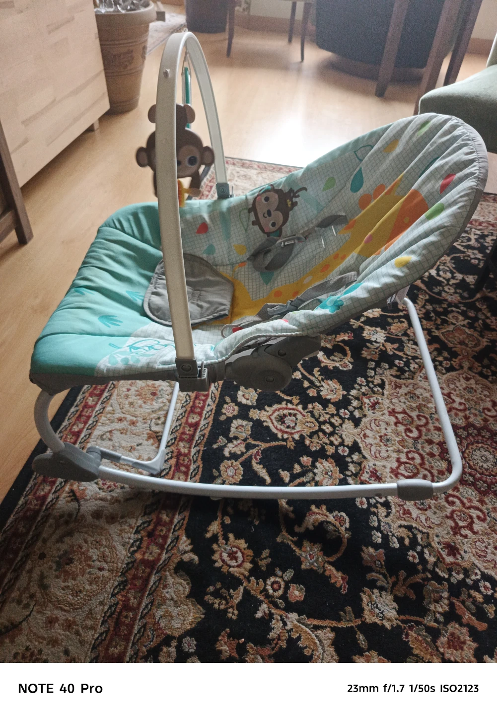 Infant-to-toddler rocker - photo 2